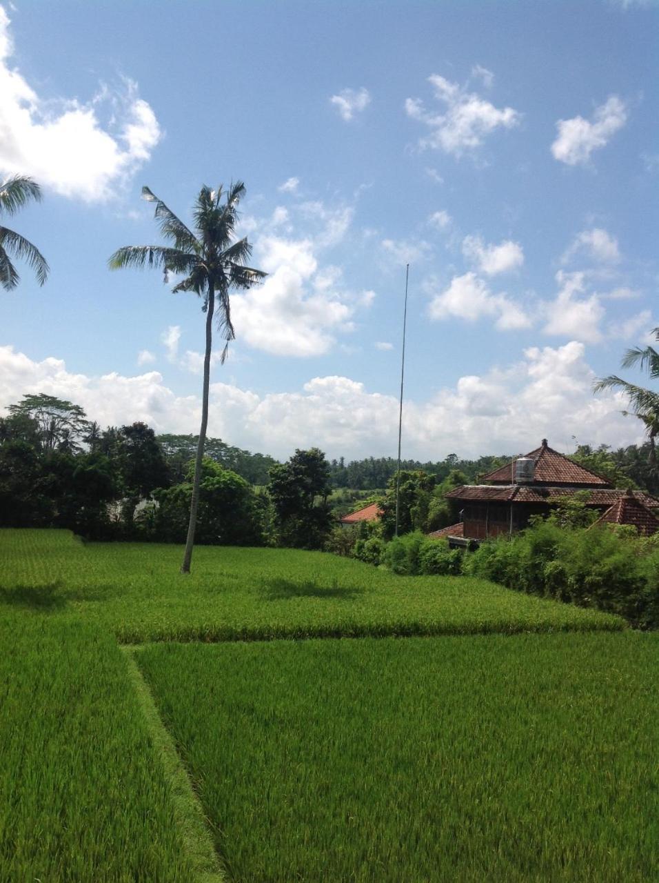 Uma Dhari Villa By Prasi Ubud Dış mekan fotoğraf