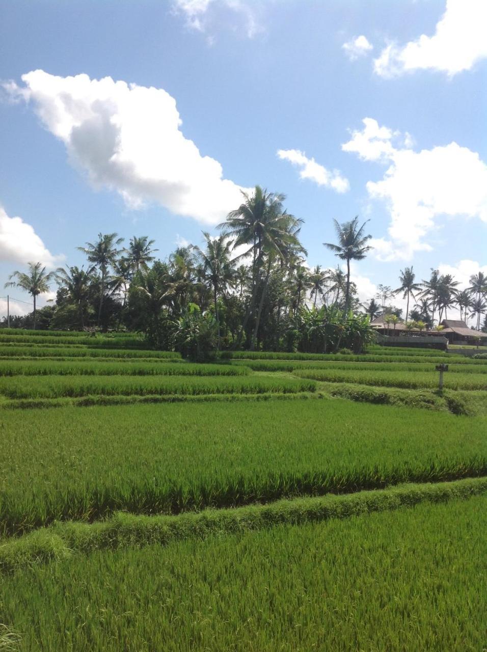Uma Dhari Villa By Prasi Ubud Dış mekan fotoğraf